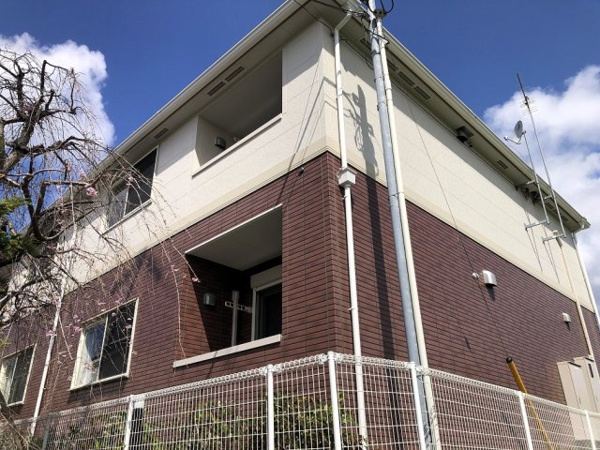 ブリリアント・ハイムの画像