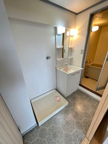 アベニュー長嶋の洗面所