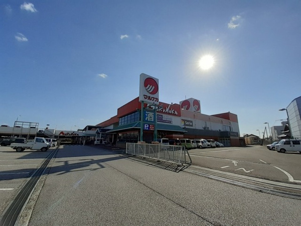 【サニーグレイスＤの展望】