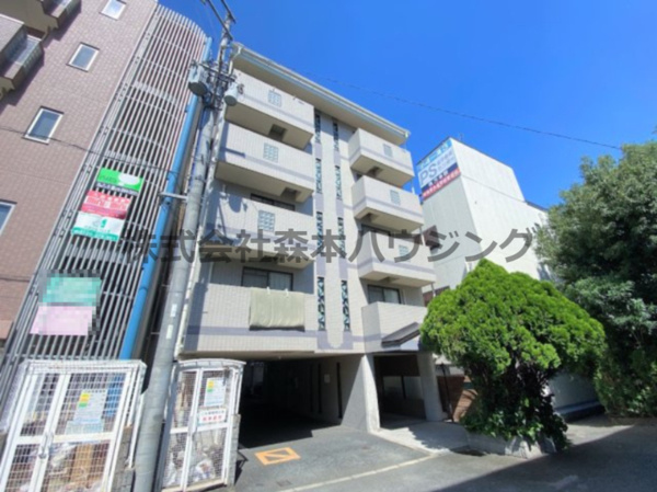 チェリーブロッサムの画像