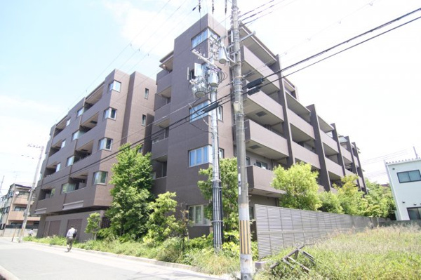 アミスターの画像