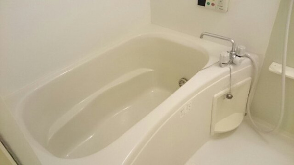 【伊都郡かつらぎ町大字大谷のアパートの浴室】