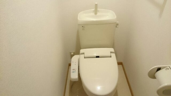 【伊都郡かつらぎ町大字大谷のアパートのトイレ】