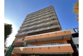 ミカワ安城ヒルズ（マンション）の外観