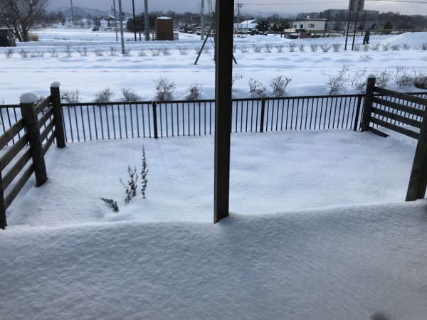 【ガーデンコート森の幹のバルコニー】