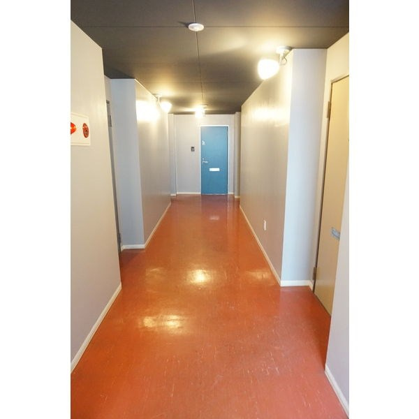 D-STUDIOのその他