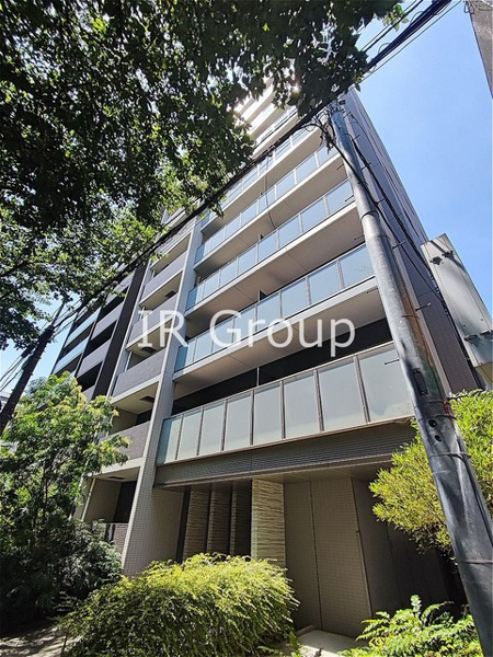 トゥルーハーモニーの画像