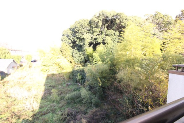 プラザダイエー草津の展望