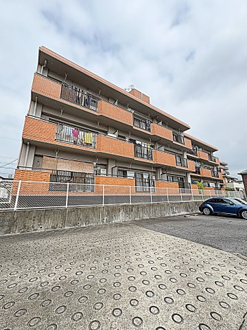 シャロンエースのイメージ