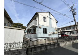 ディアスシズカの外観