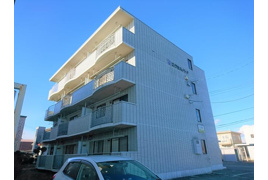 エクセルバードの外観