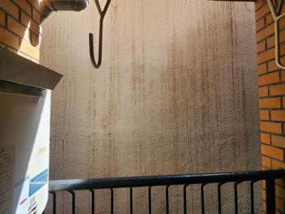 緑の館アネックスの展望