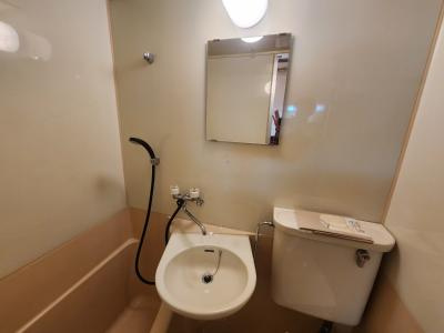 緑の館アネックスの洗面所