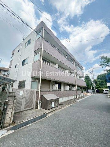 サンホワイトエトワールの画像