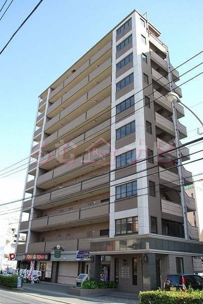 ベリーテの画像