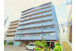 ピュアハイツの外観