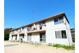 ほうれんそうの外観