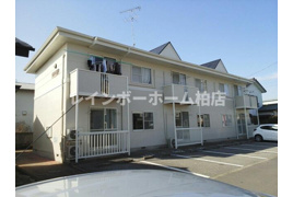  仲介手数料：50％OFF 対象物件 の外観