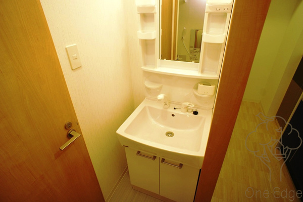 ルミエール安堂寺の洗面所