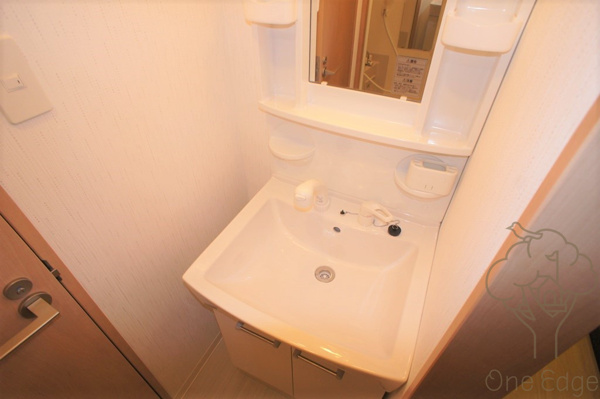 ルミエール安堂寺の独立洗面台