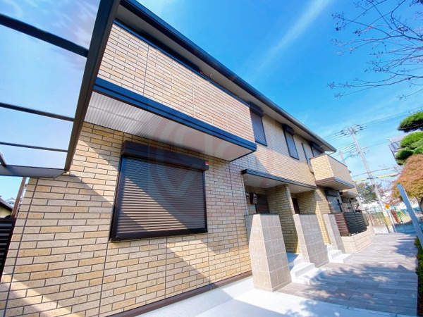 ダンデライオンの画像