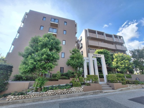 セレナ夙川の画像