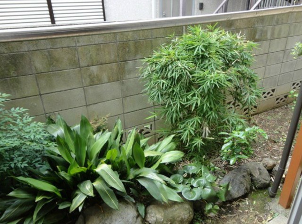 高橋ハイツの庭