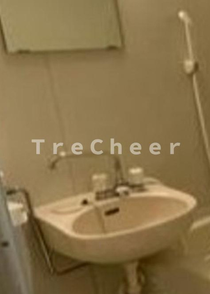 シャンテ板橋本町Bの洗面所