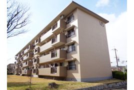 金剛第二住宅 145棟の外観