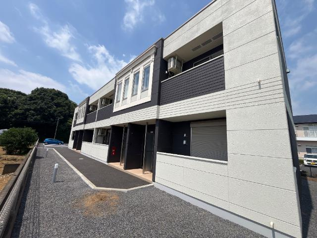 ロングパインのイメージ