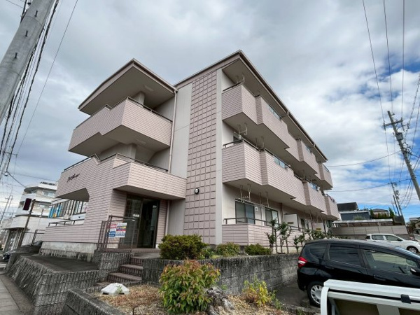 アン・プルールの画像