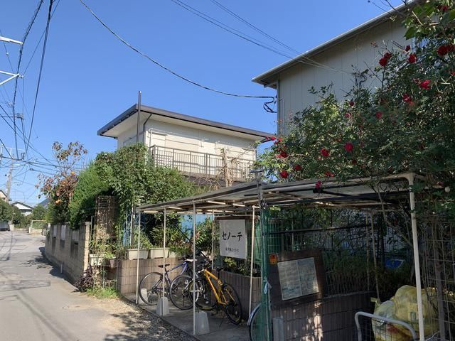 セノーテのイメージ