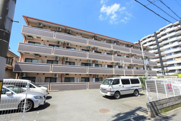 Nichera加美の画像