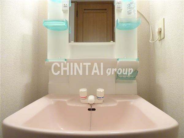 トヨトミハウスⅡの洗面所