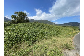 大津市南小松 貸土地の外観