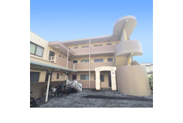 エンブレムの外観