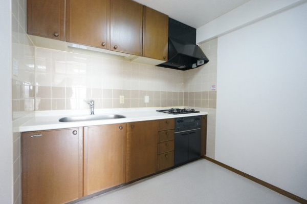 ビラ園生のキッチン