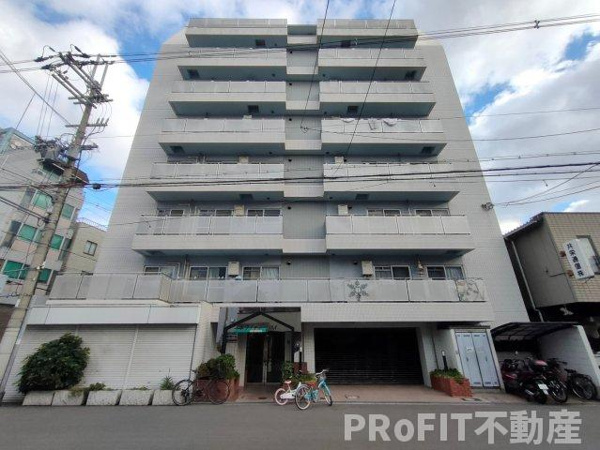 ホワイティKIMIの画像