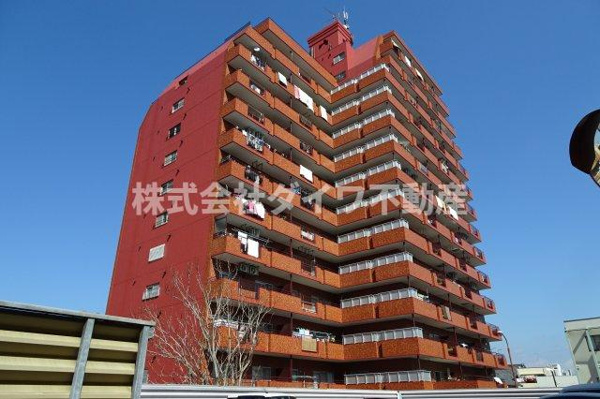 シャンボール康生の画像