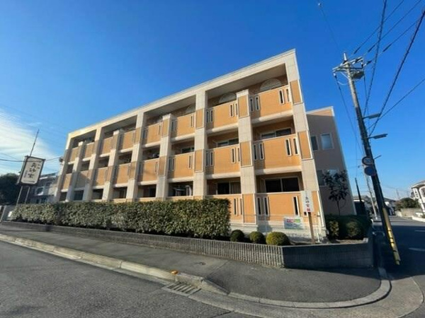 パインリーフドエルの画像