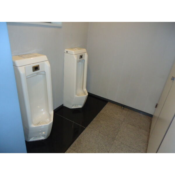 【ライオン中駒ビル201のトイレ】