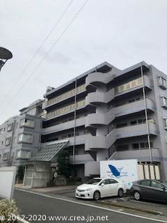 レクセルコスモの画像