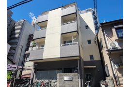 モンターニュ染の外観