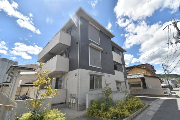 プランドールTの画像