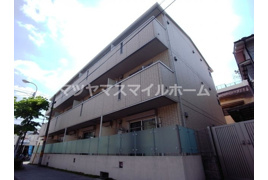 ハナミズキの外観