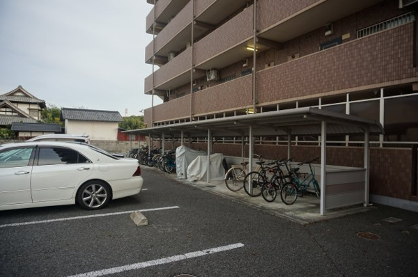 【Y.M. Jupiterのその他】