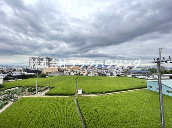 さくら館の展望