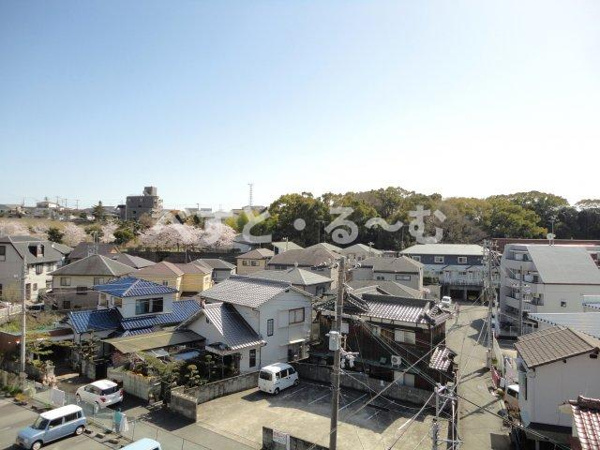 ココ・バレーの展望