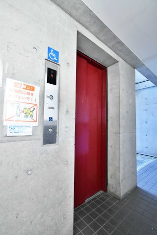 メネダスのその他