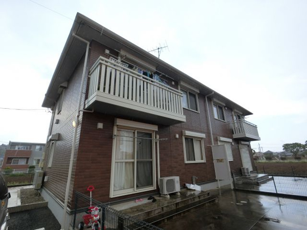 Carinopenseeの画像